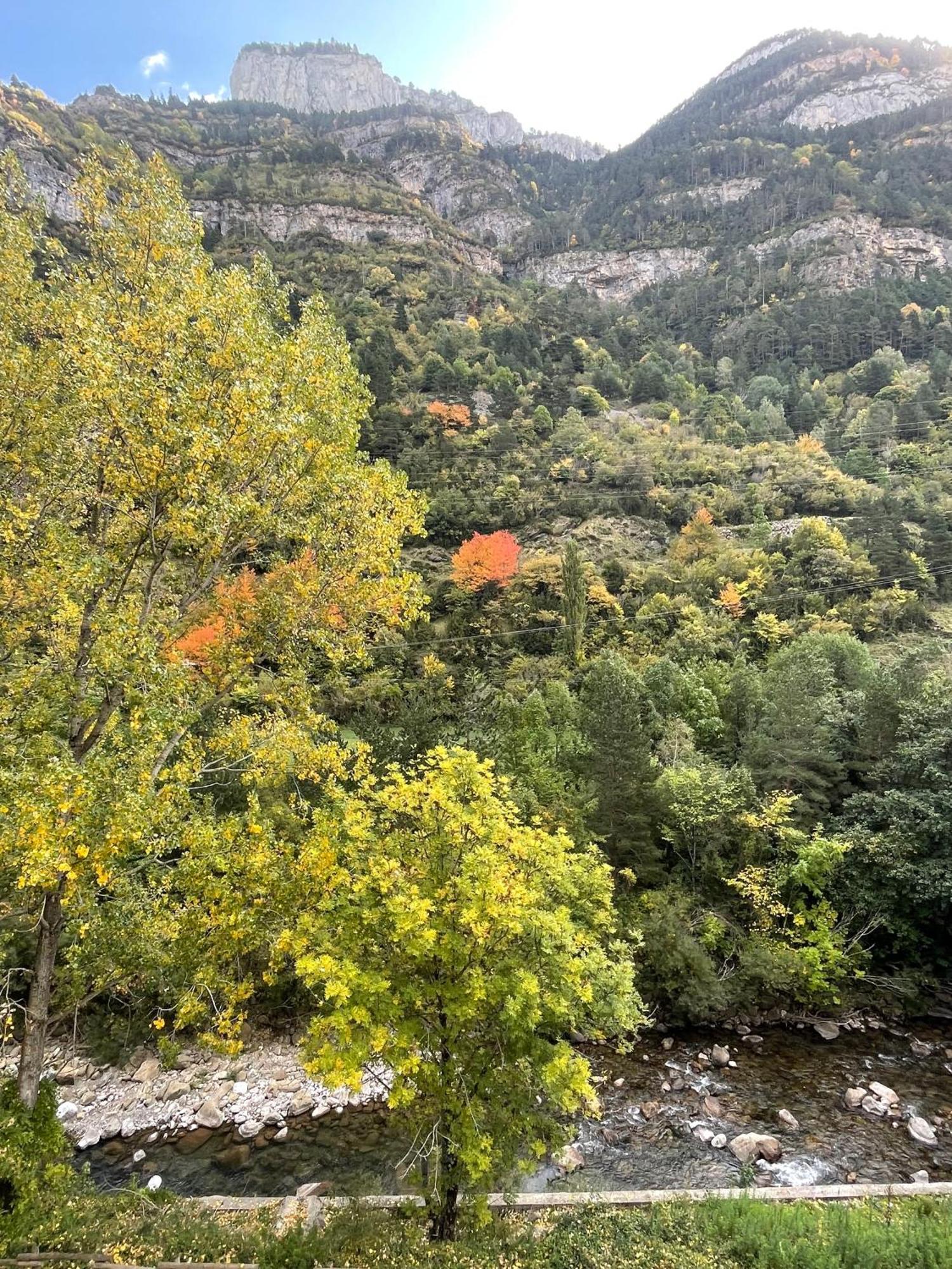 Calmfranc Atico Abuhardillado Con Vistas Al Rio Y La Montana Avistamiento De Ciervos En Canfranc Pueblo Zewnętrze zdjęcie