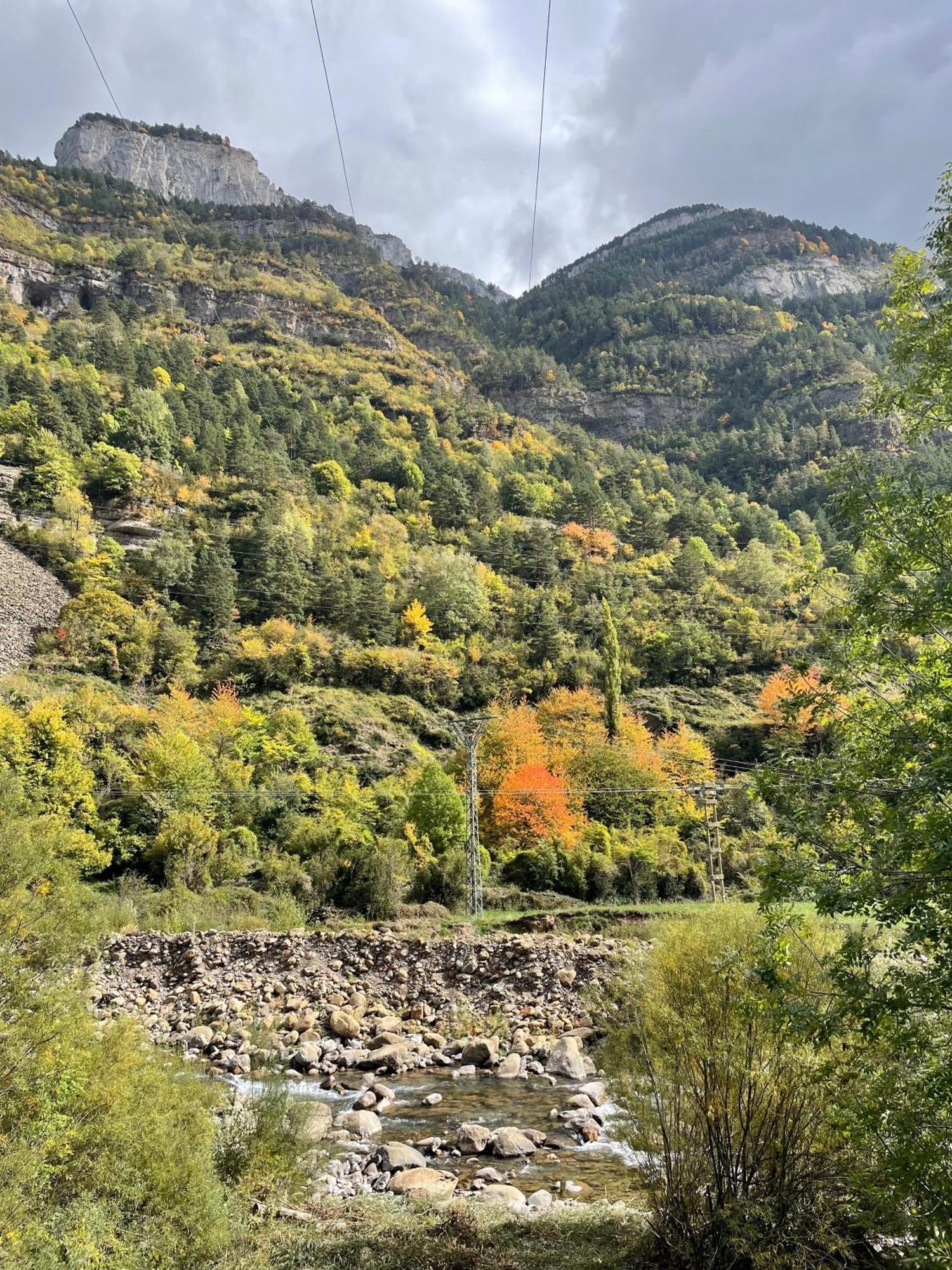 Calmfranc Atico Abuhardillado Con Vistas Al Rio Y La Montana Avistamiento De Ciervos En Canfranc Pueblo Zewnętrze zdjęcie