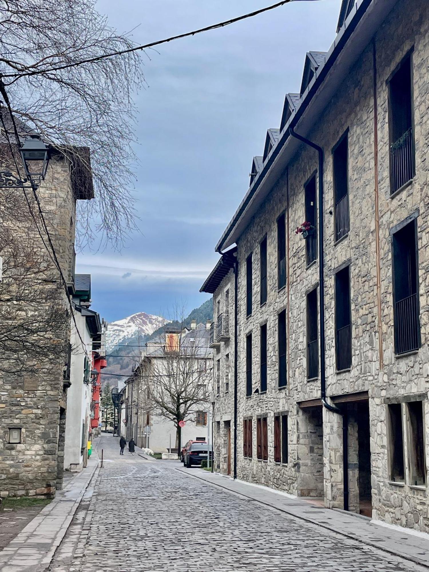 Calmfranc Atico Abuhardillado Con Vistas Al Rio Y La Montana Avistamiento De Ciervos En Canfranc Pueblo Zewnętrze zdjęcie